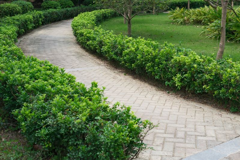 Stylish Paver Path