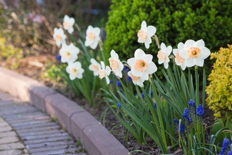 Spring Pavers Project