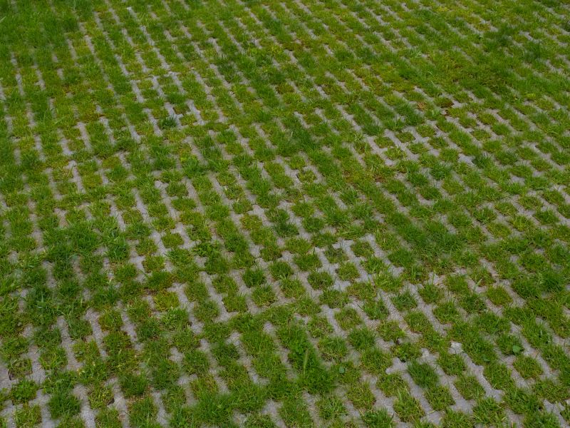 Eco-Friendly Paver Options